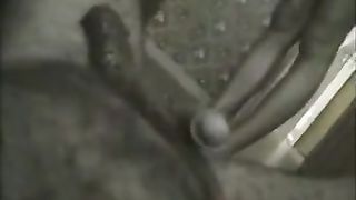 Skinny wife pooping on husbands dick