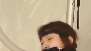 Forced scat drinking