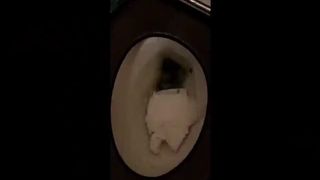 Runny shit in toilet
