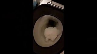 Runny shit in toilet