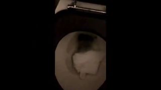 Runny shit in toilet