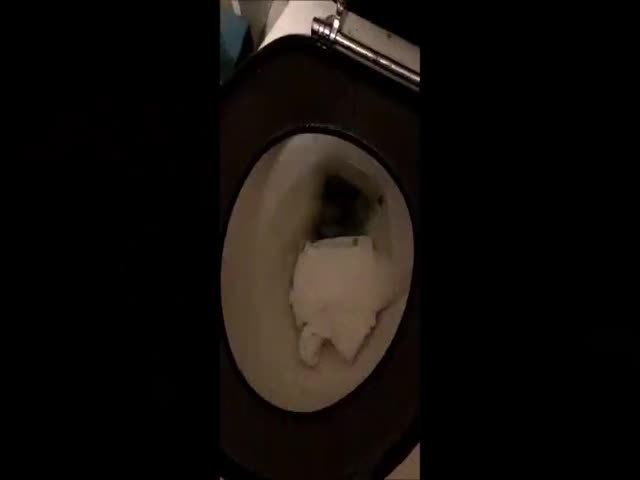Runny shit in toilet