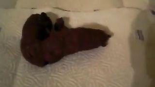 Wearing high heels while pooping