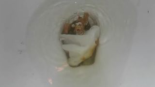 Shitting a lot in toilet