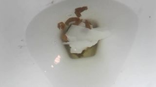 Shitting a lot in toilet