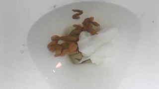 Shitting a lot in toilet