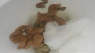 Shitting a lot in toilet