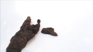 Blonde babe eating fresh shit