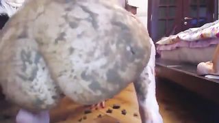 Incredible blonde model smears shit