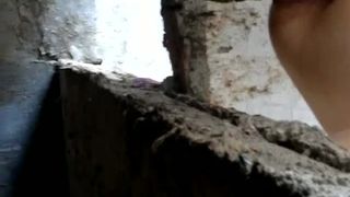 Spying on a girl that's pooping