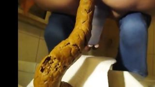 Very long turd dropped in toilet