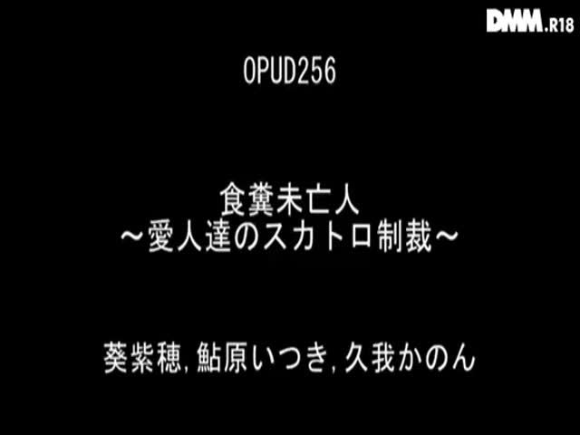 Lesbian scat sex compilation