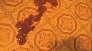 Mature babe shitting on bedroom floor