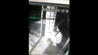 Girl caught pooping in the elevator
