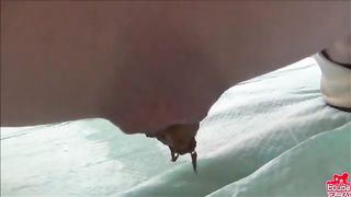 Clasic Asian defecation