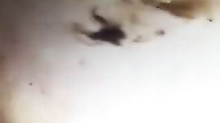 Fucking a scat pig in the ass