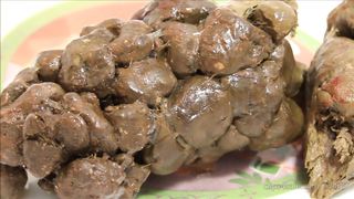 Massive turd from her big ass