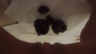 Shaved girl shitting