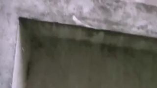 Russian woman caught shitting in public