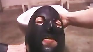 Returning the favour