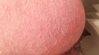 James shits in a toilet