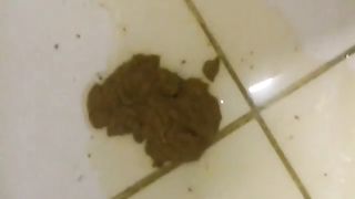 Good shit good pee