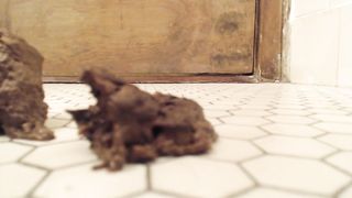 Wearing a mini skirt while pooping