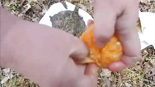 Fat woman pooping in a forest