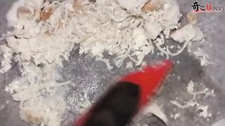 Incredible mistress pooping on her slave