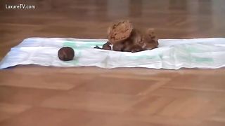 Sweet blonde pooping