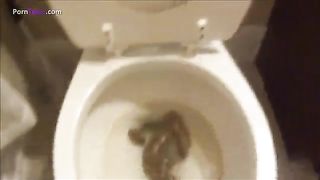 Hot babe pooping naked