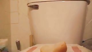 Shitting on a slice of bread
