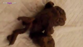 Brunette girl shitting in doggy style