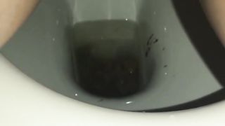 Hairy babe pooping in toilet