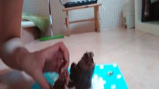 Eating a scat cake