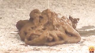 Hot Chinese girl shitting in public