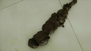 Long turd from tight ass