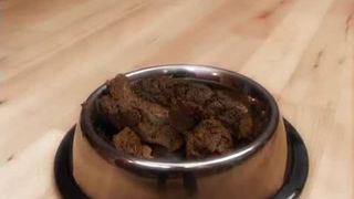 Forced male slave to eat poop from metallic bowl