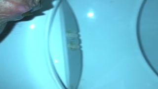 Pushing big turd over toilet