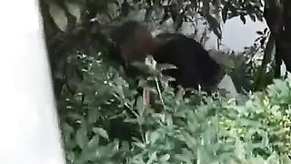 caught a japanese babe shitting in public