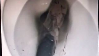 She can't flush that huge turd