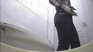 Toilet spy