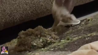 She's puking in a public bathroom