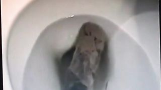 Trying to flush a big turd