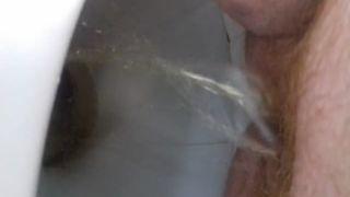 BBW babe shitting in toilet