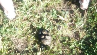 Milf smears shit on her face in public