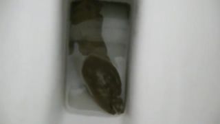 Giving birth to a monster turd