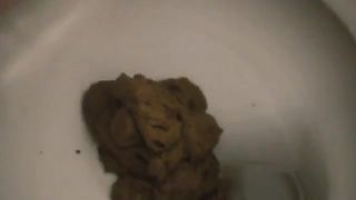 Shitting in toilet