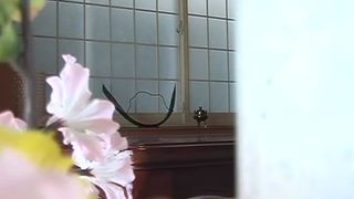 Spying on a japanese babe shitting