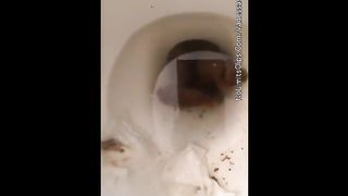 Nice pooping girl